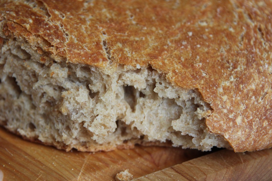 Homemade, whole wheat bread